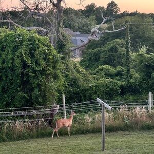 Meet your Posher, Sam